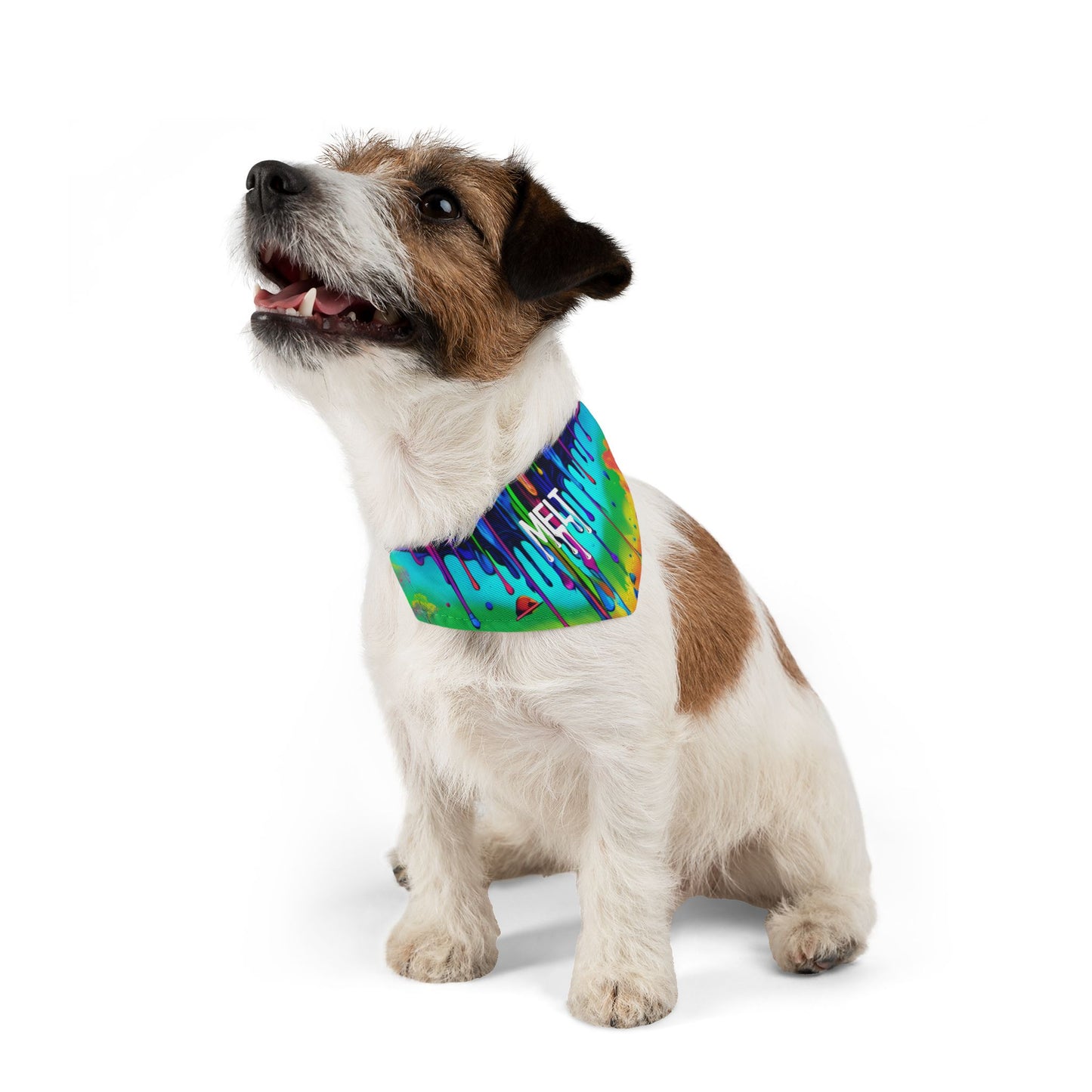 Melted Pooch Pet Bandana Collar