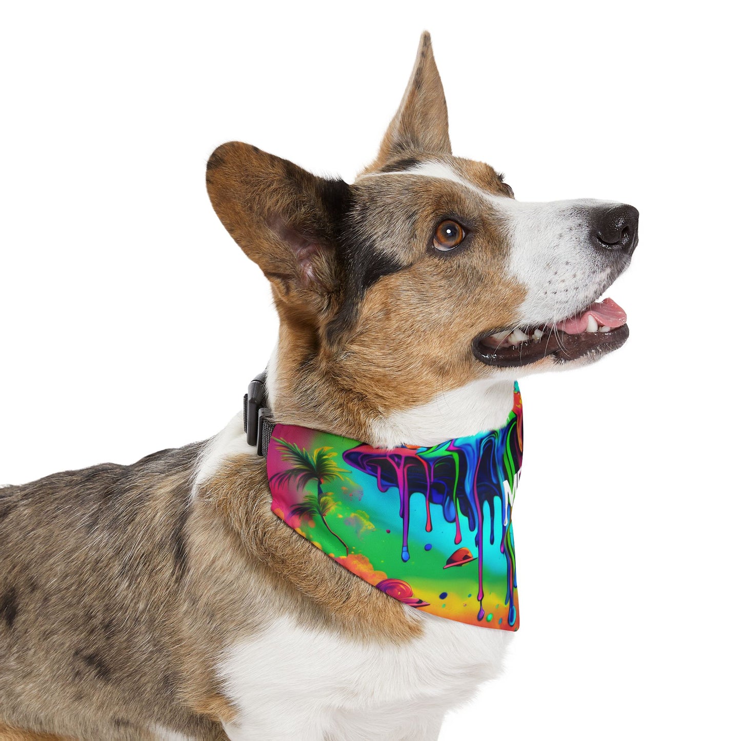 Melted Pooch Pet Bandana Collar