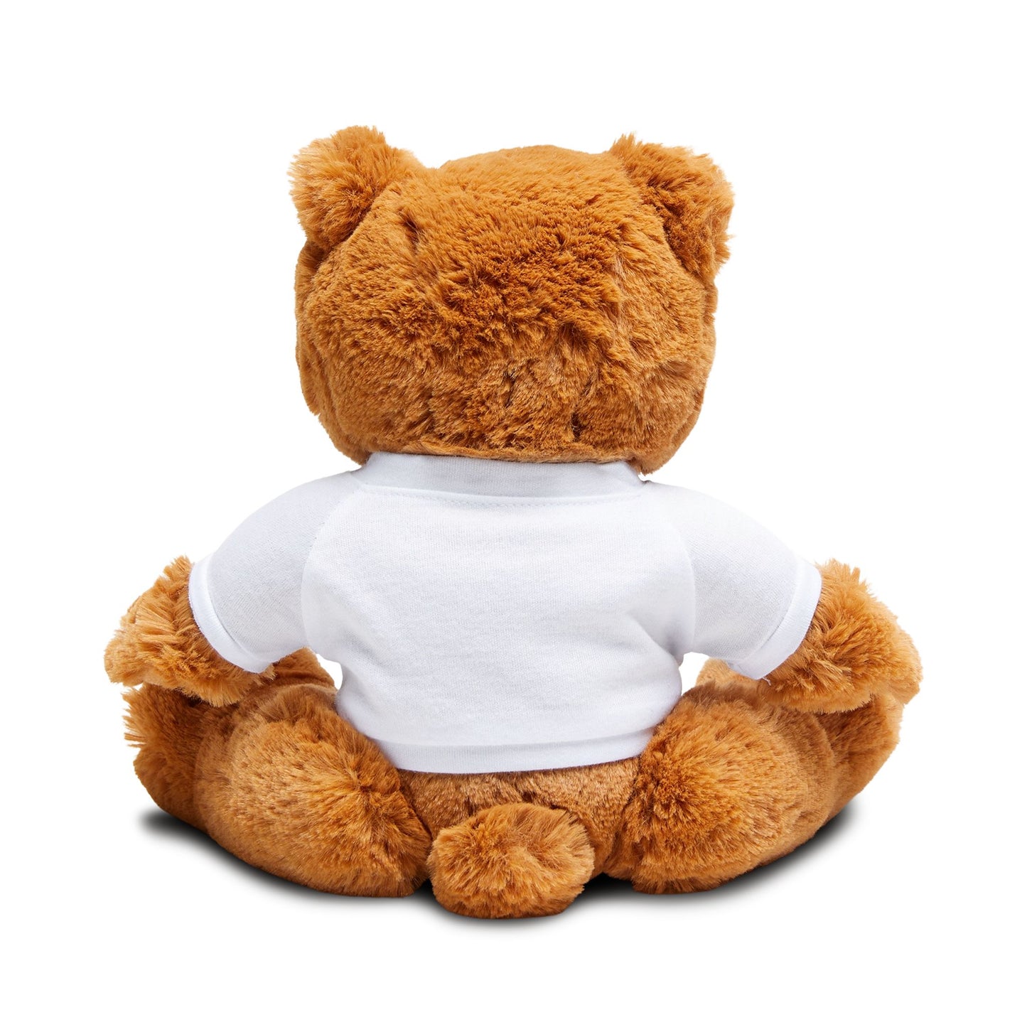 Ascensionistic Teddy Bear with T-Shirt