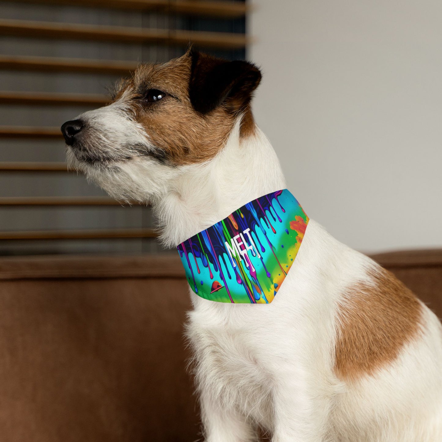 Melted Pooch Pet Bandana Collar