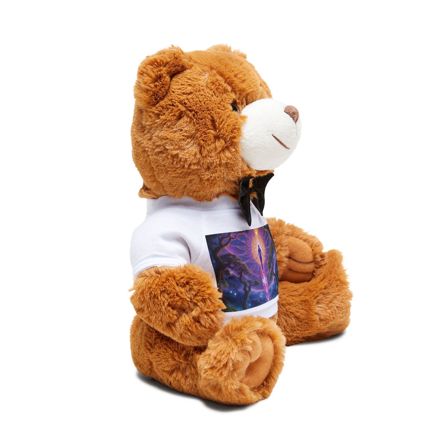 Ascensionistic Teddy Bear with T-Shirt