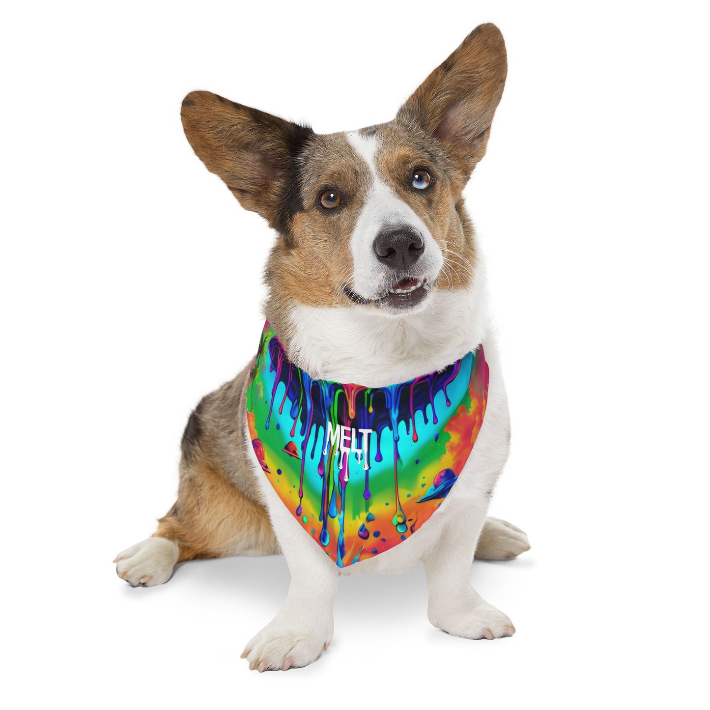 Melted Pooch Pet Bandana Collar